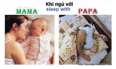 funny pictures 1